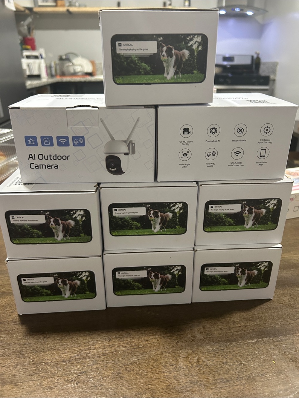 AI Outdoor Camera - White Boxed Units